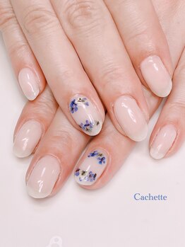 カシェット(Cachette)/定額アート