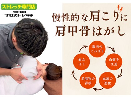 プロストレッチの写真