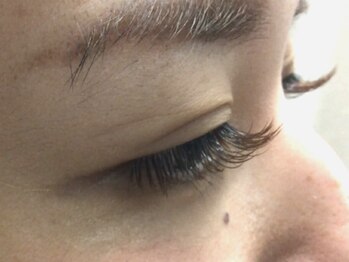 シュシュ(chou chou)/カーキブラウン(chouchou吉祥寺)