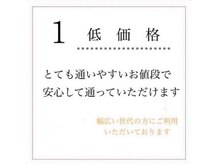 ホワイトニングショップ 豊橋店(WHITENING SHOP)/ホワイトニングのポイント　1 