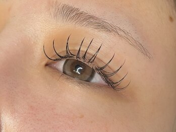 ラシク ベル(Lashiku Belle)/フラットラッシュ