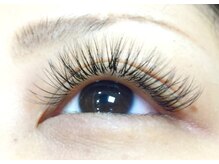 ディシェーレ アスト(die-Schere Ast)/ボリュームラッシュ