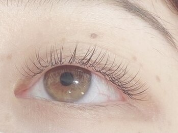 ネオリーブ モカ 川崎チネチッタ店(Neolive mocca & eyelash)/フラット80本　4530円　新屋