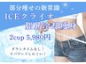 お試し脂肪冷却（2cup×2回券）