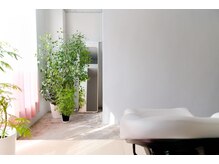 ジャルダン(jardin)
