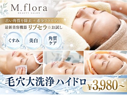 エムフローラ(M.flora)の写真
