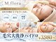 エムフローラ(M.flora)の写真