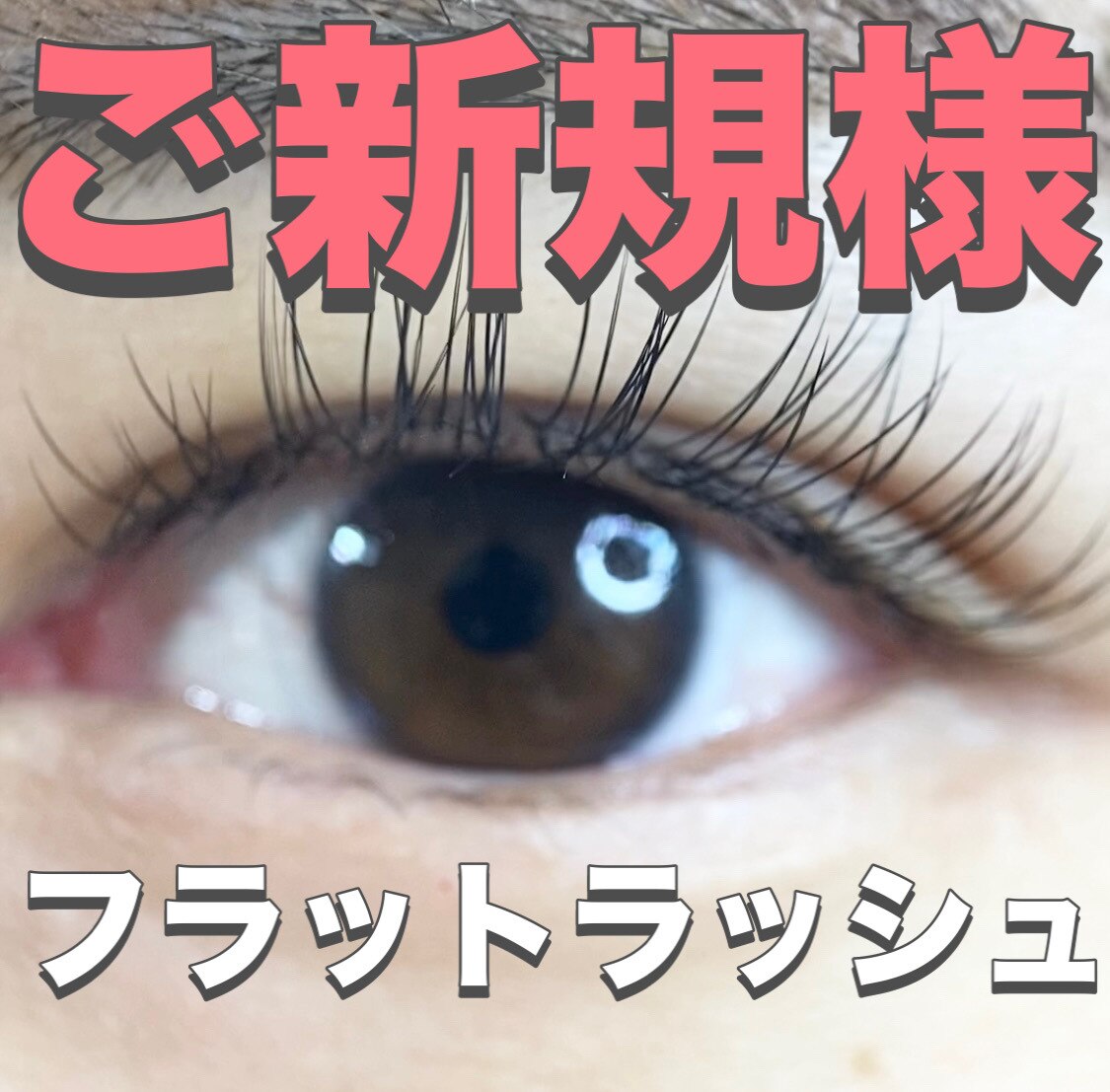 フラットラッシュ　予約ページ フィックスラッシュ 天王寺店(fix lash)｜ホットペッパー