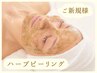 【肌質改善★毛穴・しみ・くすみ・ニキビケア】ハーブピーリング60分
