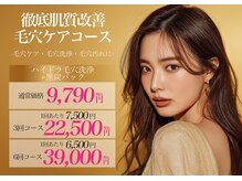 ベル 蒲田(Belle)/毛穴洗浄