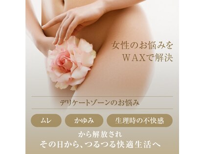 シュシュ(chou chou)の写真