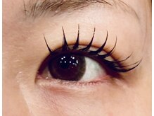 ザ ベスト ビューティー(The Best Beauty)/シングルフラットラッシュ