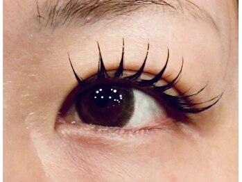 ザ ベスト ビューティー(The Best Beauty)/シングルフラットラッシュ