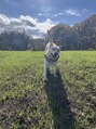 リアンドビー(Re&Be)&nbsp;ワンさんが可愛くて仕方ありません^^