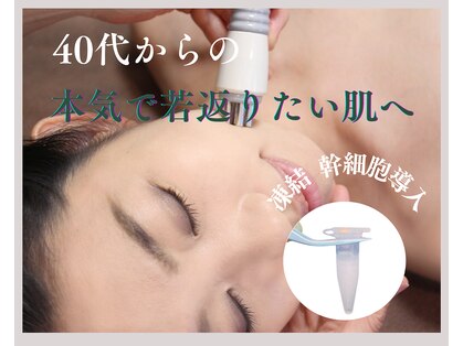 セリーニ(Selini)の写真