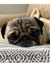 ネイルベースキュウロク(NAILBASE96) 盛夫1 ネイリスト