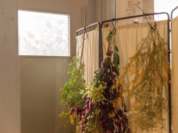 こりほぐし 図書館前/小物&植物