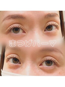 エル(elu.)/まつ毛パーマ