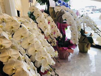 ツキミ コスメティックス(TSUKIMI cosmetics)/ありがとうございます