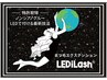 まつげ人気No.1☆特許取得のLEDグル-【LEDiLashフラット100本(120本¥11000)】
