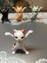 桃の木 吉祥寺店/桃の木のあちこちにいるネコ