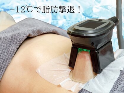 美ネージュの写真