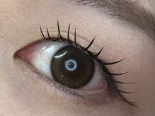 メメ(MEME)/フラットラッシュ120本