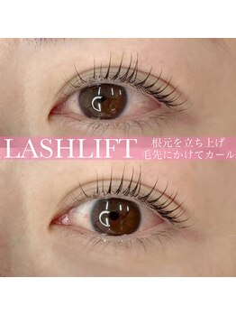 プリモアイラッシュ(Primo Eyelash)/立ち上げ＋毛先にかけカール