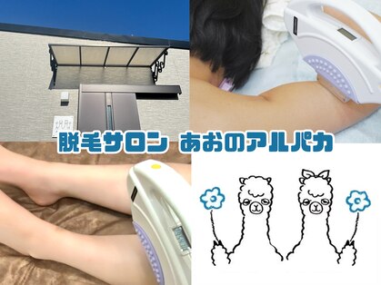 あおのアルパカの写真