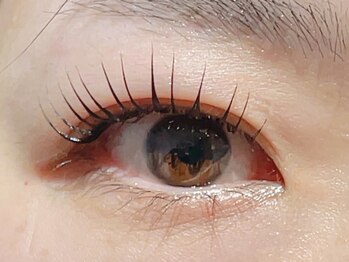 リリー(Lily)/束感まつ毛