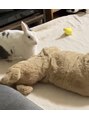 吉祥寺サントリナ&nbsp;白いうさぎと、黄色いセキセイインコを飼っています♪
