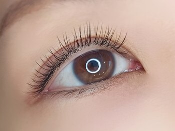 リノ(Lino)/フラットラッシュ