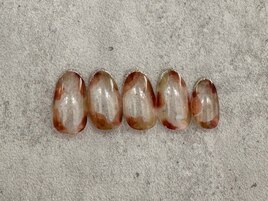 【定額basicコース】2025/2月