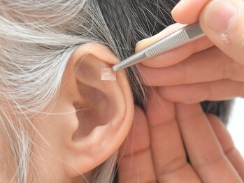 ランドリウム/こんな感じ