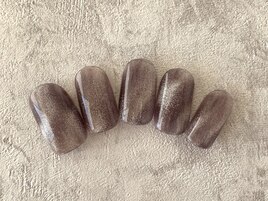 定額シンプルコース