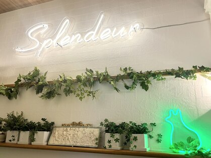 スプランドゥール 銀座店(Splendeur)の写真