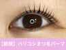 《次回割有り》ハリコシまつ毛パーマ[アイシャンプー＆美容液付] オフ無料