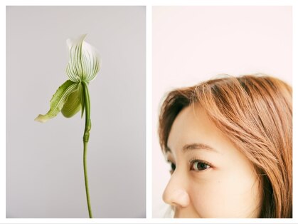 シーン(SCENE)の写真