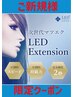 新規限定 LEDフラット（シングル）＆バインド（束）のMIX付け 140~160本