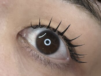 メメ(MEME)/フラットラッシュ100本