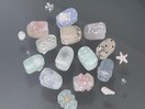 ドットリボンバラ韓国¥7500