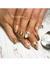 カラーネイル(Color nail)/Colornail Gallery