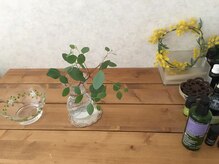 おうちサロン ニワノミ(NIWANOMI)/