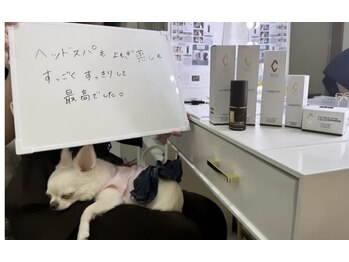 ミミルーチェ(mimiluce)/美脳小顔ヘッドスパ若よもぎ蒸し