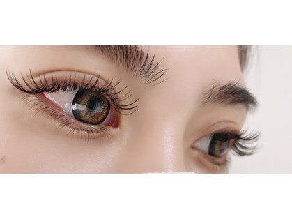 ダリア(DahliA)の写真