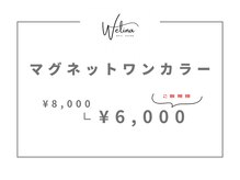 ウェリナ(WELINA)/マグネットワンカラー