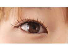 ジャポネスク(JAPONESQUE)/フラットラッシュ120本