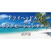 ドライヘッドスパ アンド リラクゼーションサロン 水戸店のお店ロゴ