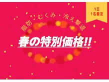 ヨサパーク モカ(YOSA PARK Moca)