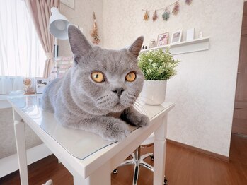 ミネット(nail Minette)/癒し空間☆プライベートサロン